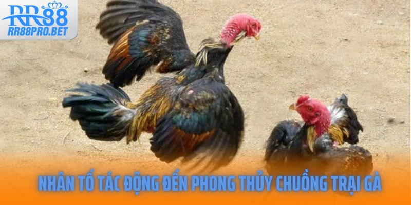 Nhân tố tác động đến phong thủy chuồng trại gà